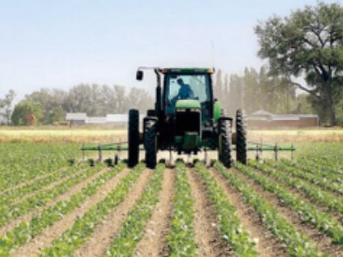 Sorpresa, ora è l'agricoltura a rubare le braccia agli altri