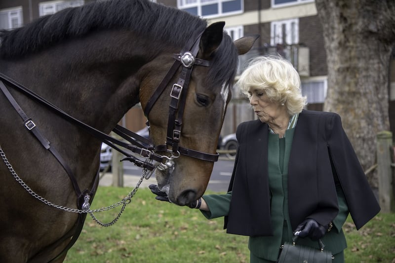 Camilla Parker Bowles, le foto della duchessa di Cornovaglia 5