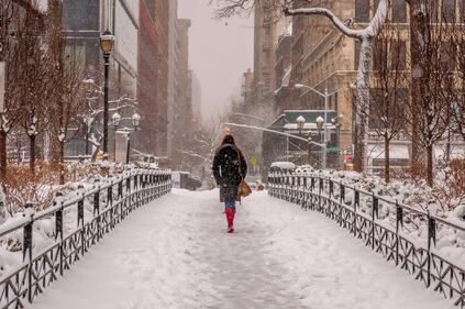 New York sotto la neve 11