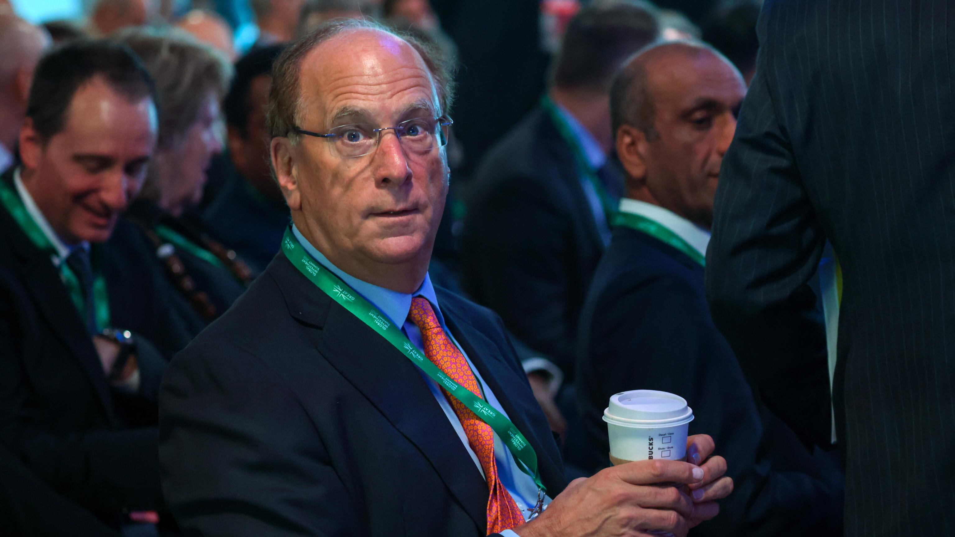 "Green vantaggioso solo se porta utili": la presa di posizione del Ceo di BlackRock