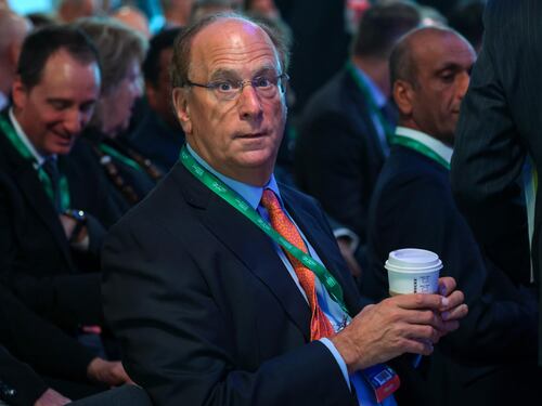 "Green vantaggioso solo se porta utili": la presa di posizione del Ceo di BlackRock