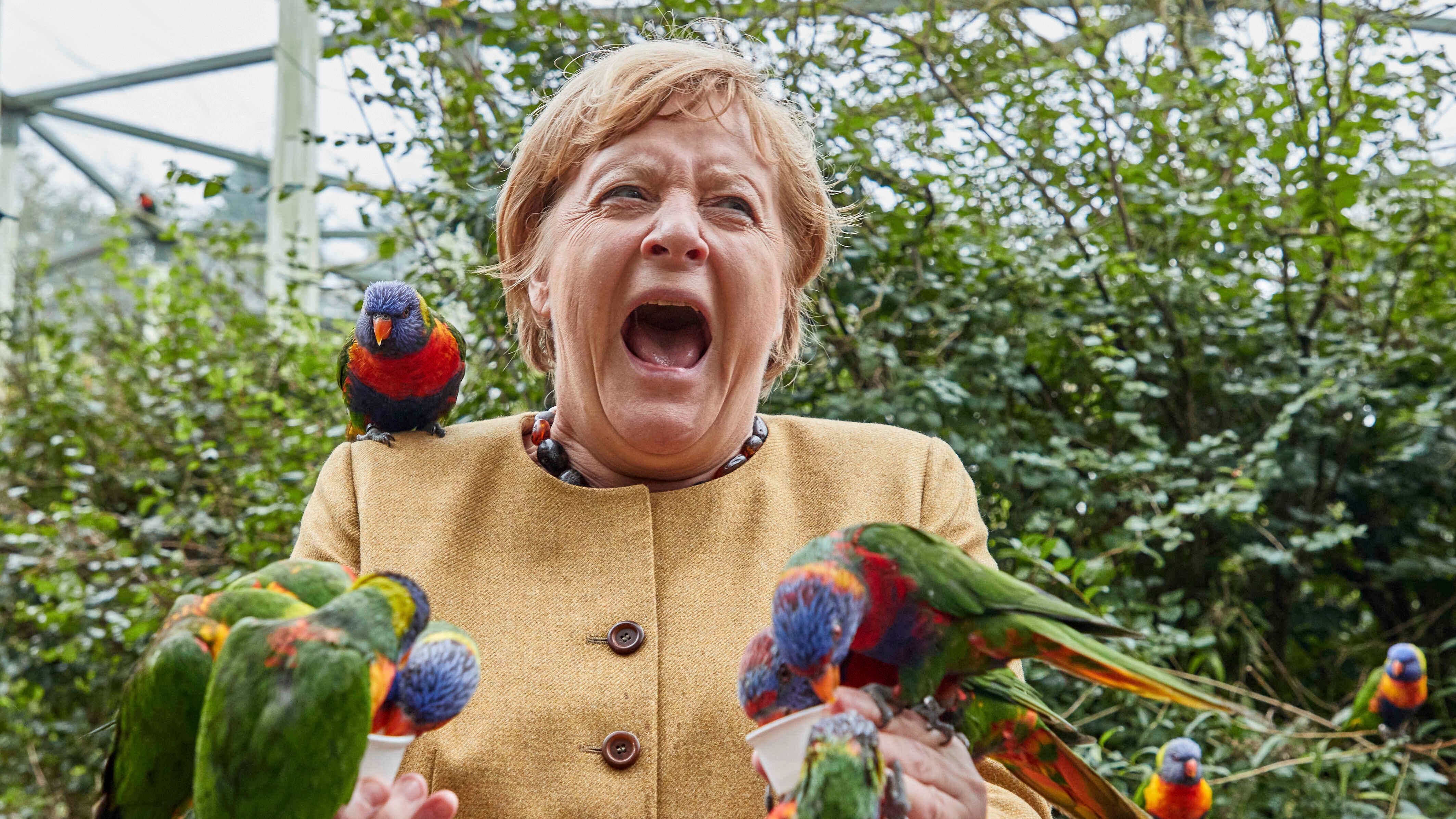 Una Germania orfana della sua "Mutti"