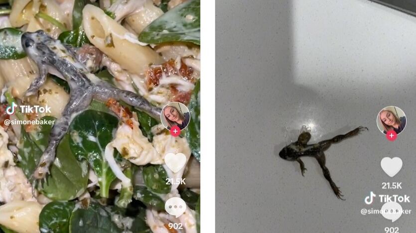 Rana morta nella busta degli spinaci, la scoperta choc di una australiana