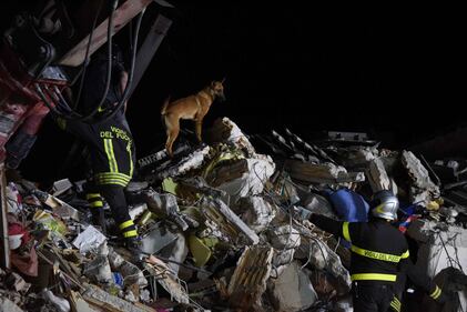 Lady Gaga per il terremoto: foto 19