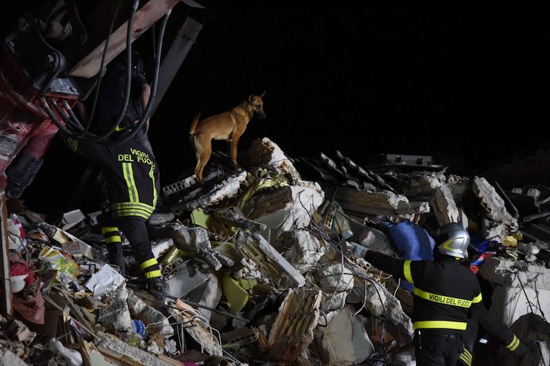 Lady Gaga per il terremoto: foto 19