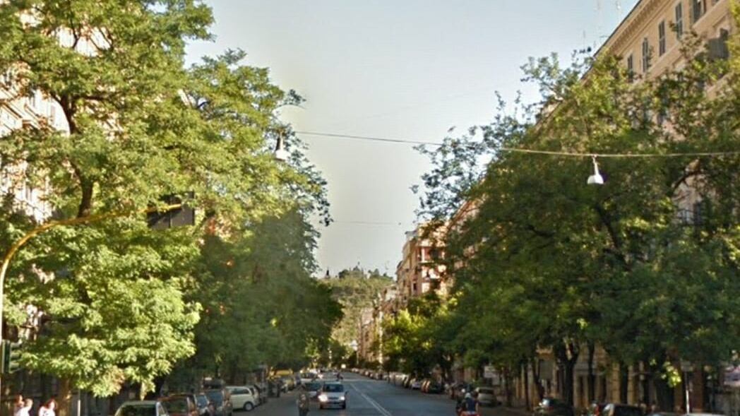 Roma, cade ennesimo ramo, tragedia sfiorata per donna incinta