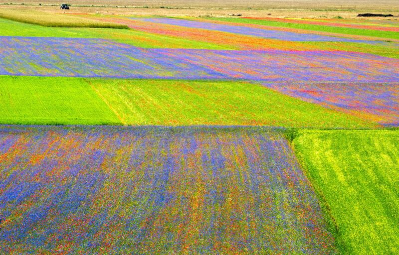 Castelluccio di Norcia