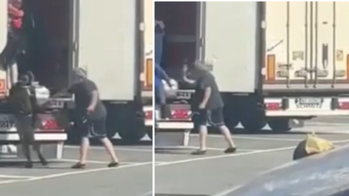 Trova i migranti sul Tir: camionista li fa scendere e li "frusta"