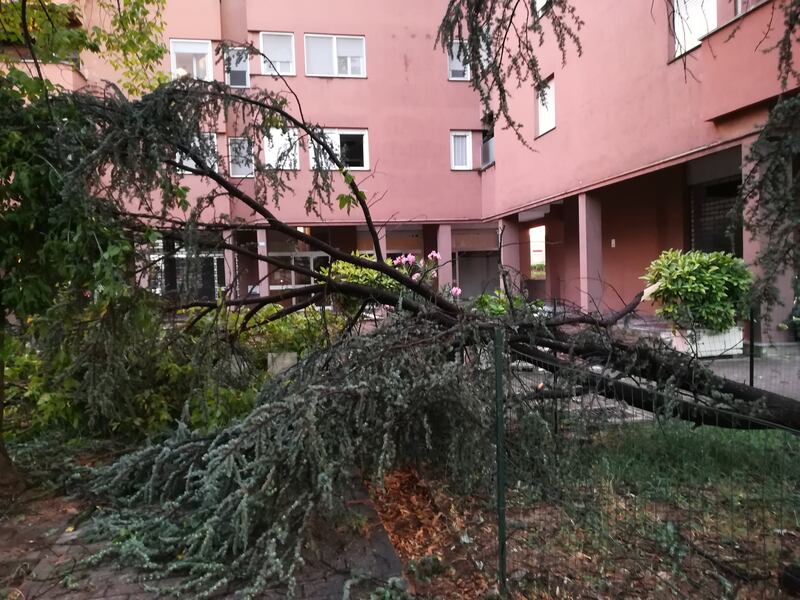 Maltempo al Nord, danni pesantissimi a Lodi, Brescia e Sud Milano 5