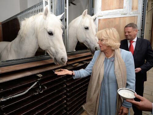 Camilla alla Scuola di equitazione spagnola di Vienna