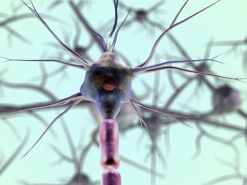Che cos'è l'Atassia di Friedreich, un nemico difficile da diagnosticare