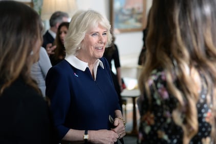Royal Family, la linea di successione in foto 8