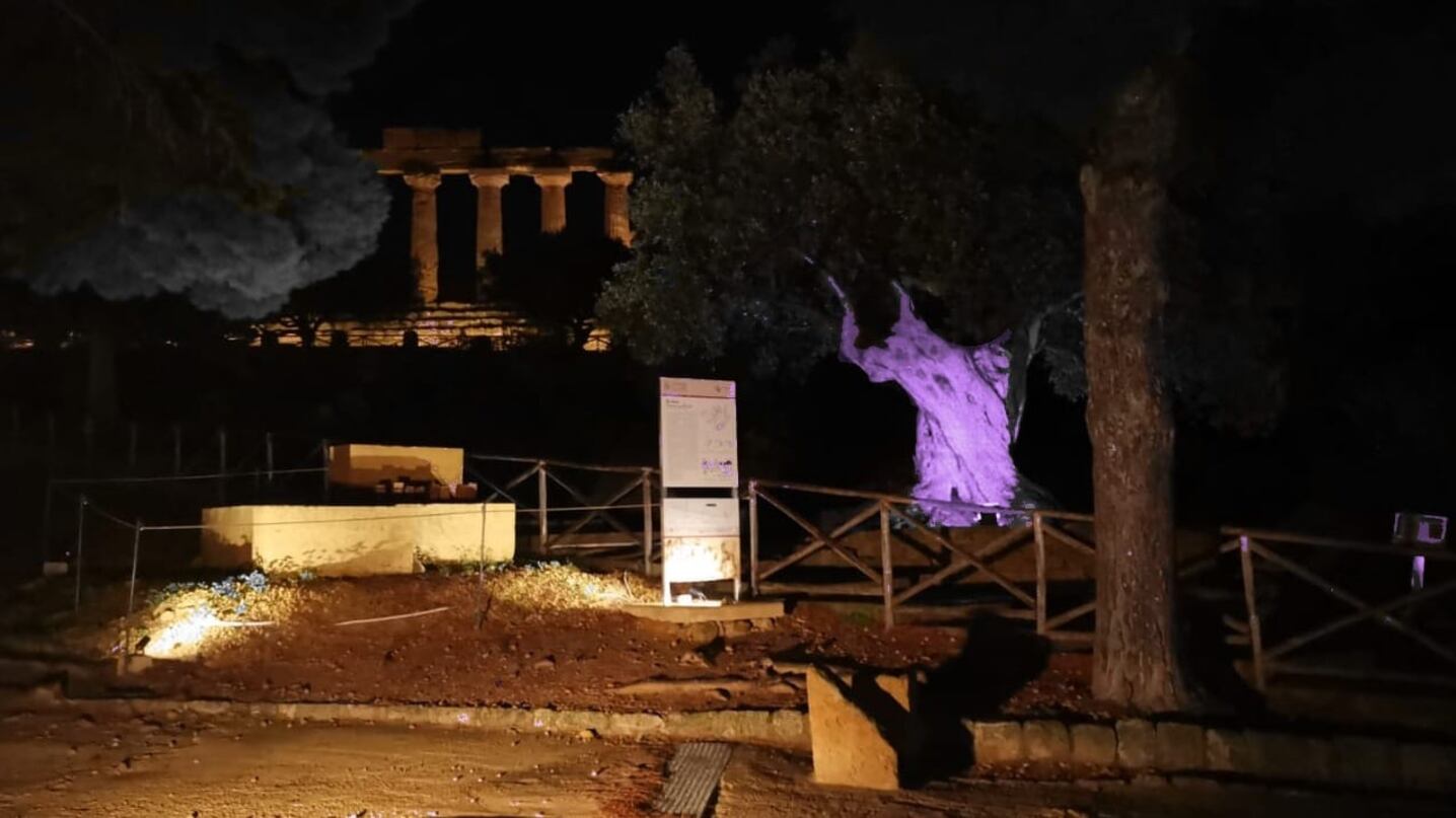 Agrigento, il tempio di Giunone si illumina di viola per i bimbi nati prematuri