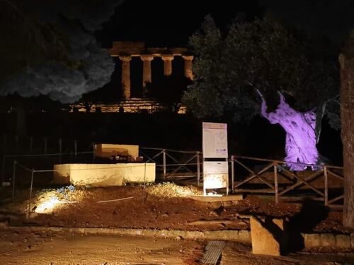 Agrigento, il tempio di Giunone si illumina di viola per i bimbi nati prematuri