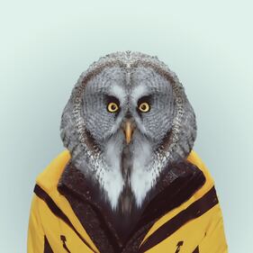 Avete mai visto animali vestiti da esseri umani? 9