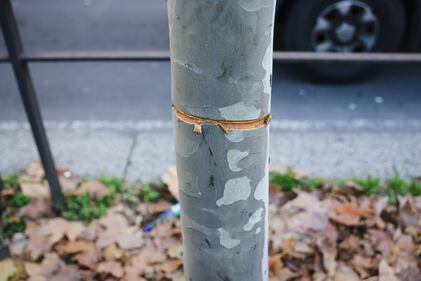 Milano, cavo teso in viale Toscana: le immagini choc 6