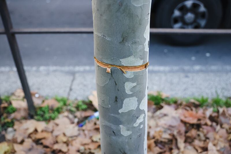Milano, cavo teso in viale Toscana: le immagini choc 6