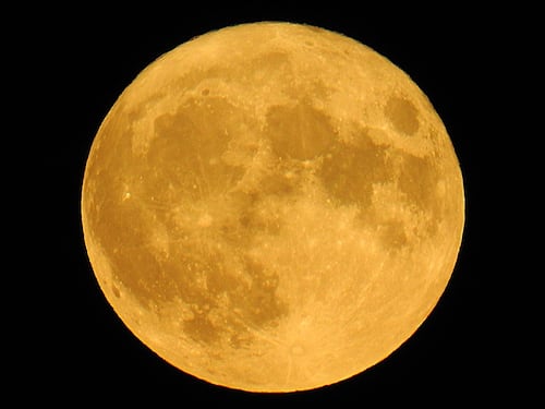 Superluna di Neve: tutti con il naso all'insù per ammirarla
