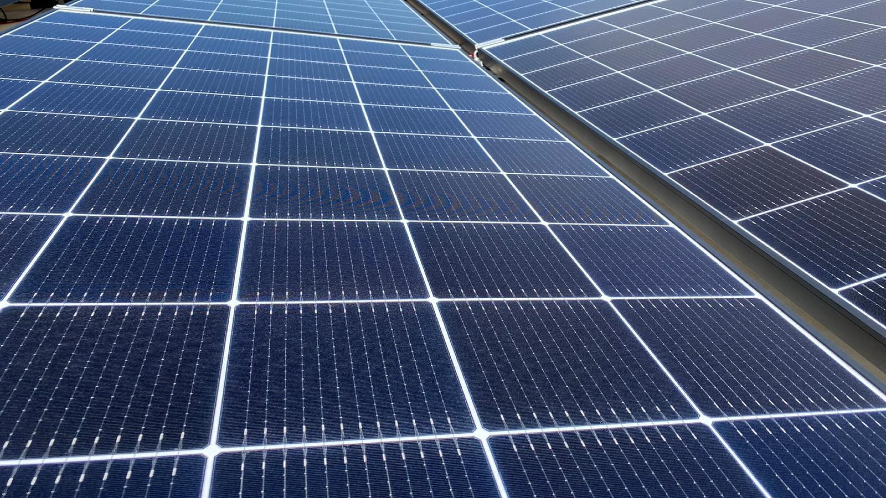 Rinnovabili, approvato solo l'1% dei progetti. Il flop dell'energia green