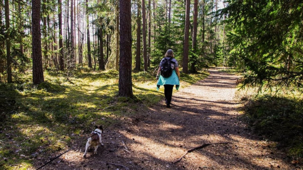 Bending Spoons acquisisce Komoot, app del trekking da 45milioni di utenti