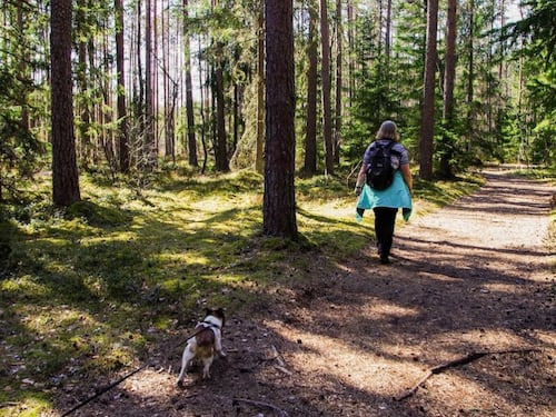 Bending Spoons acquisisce Komoot, app del trekking da 45milioni di utenti