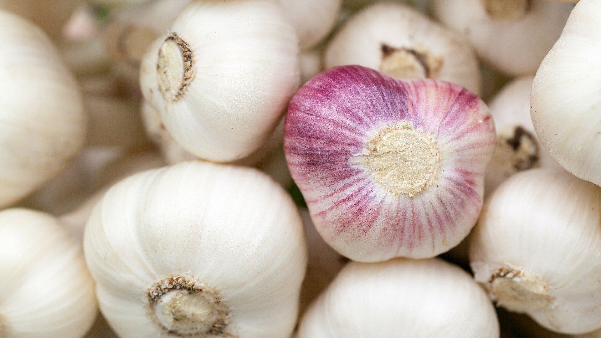 Aglio, benefici e controindicazioni del superfood dall'odore pungente