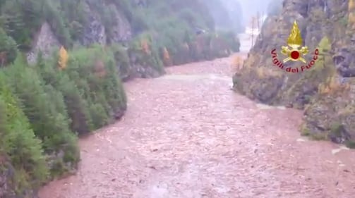 Emergenza meteo: la strage dei boschi in tutta Italia 2