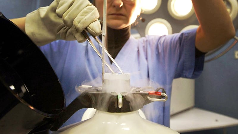 Bimba nata dall’embrione di altri, l’errore scoperto dopo l’analisi del Dna