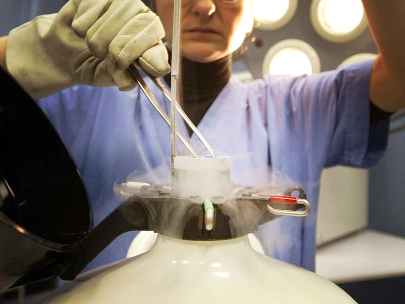 Bimba nata dall’embrione di altri, l’errore scoperto dopo l’analisi del Dna