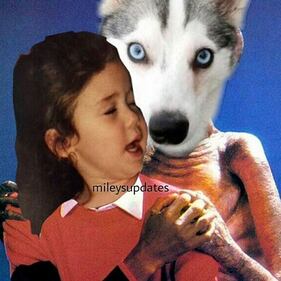 Miley Cirus compie 22 anni e festeggia su Instagram 5
