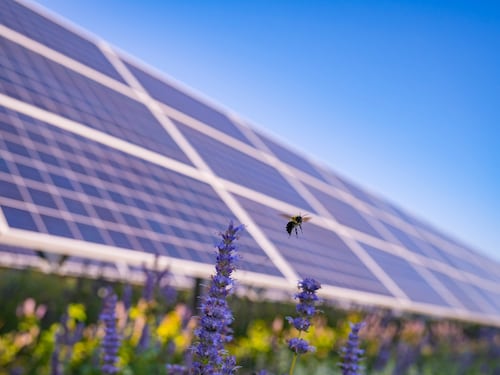 Territori protagonisti della transizione, il modello Enel tra energia e valore condiviso