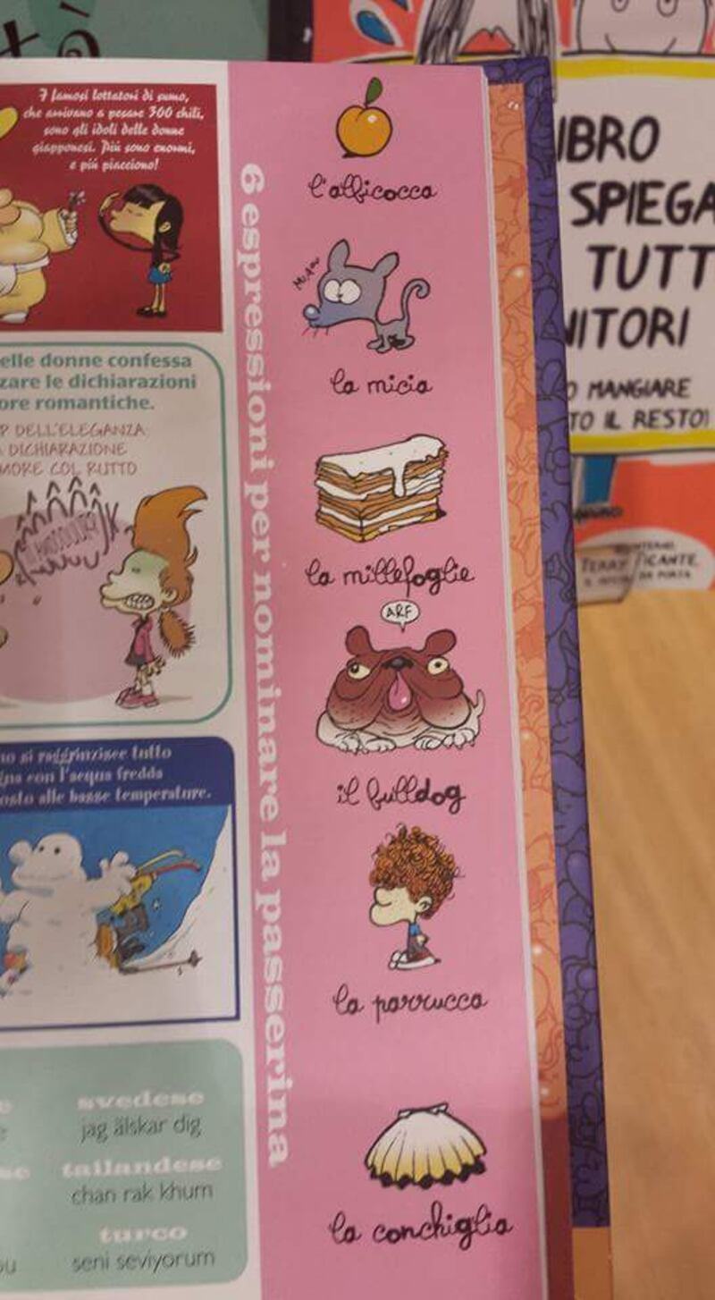 Il libro choc per bimbi: "Metti il dito nel buco della donna" 5