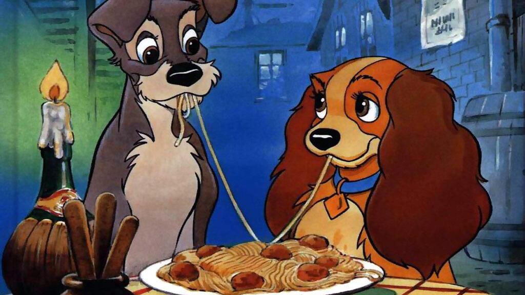 Il cane innamorato che persa la sua lei non vuole più vivere