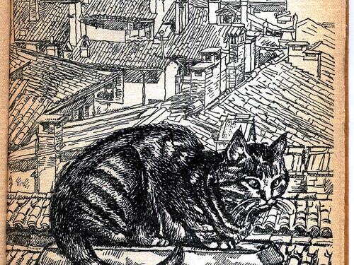 L'animale più bello? Naturalmente il gatto Referto di Rajberti