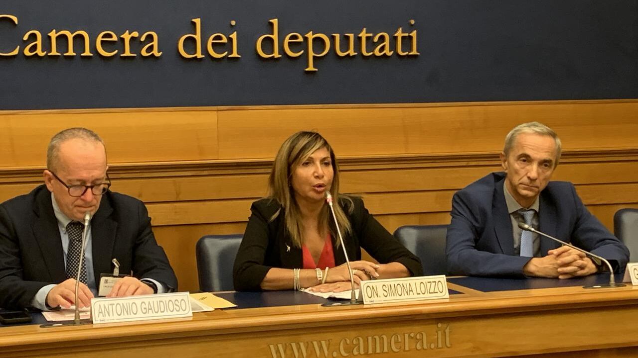 Loizzo: "Superare disomogeneità Nord- Sud in trattamento cancro polmone"