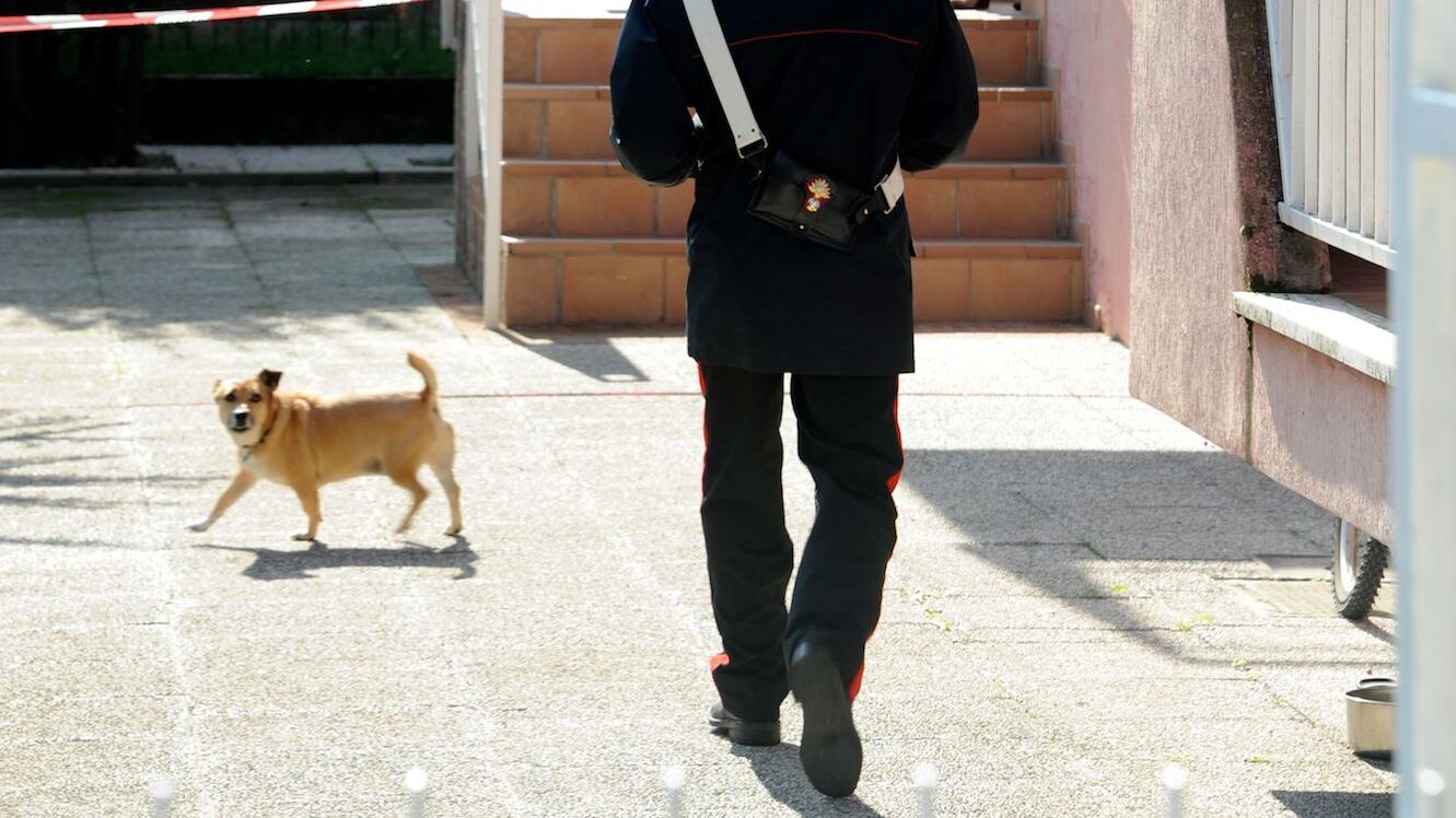 Uccide i genitori con l'ascia: in fuga il figlio 27enne
