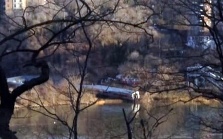 Metropolitana deraglia nel Bronx newyorchese: "Quattro morti" 2