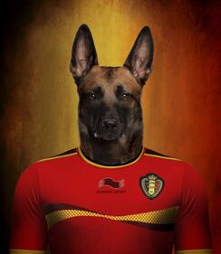 Brasile 2014, delle squadre... da cani 7