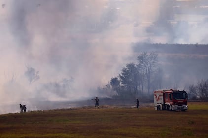 Le immagini dell'incendio scoppiato tra Monte Carnevale e Maccarese, nei pressi dell'aeroporto 8
