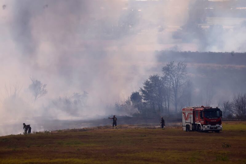 Le immagini dell'incendio scoppiato tra Monte Carnevale e Maccarese, nei pressi dell'aeroporto 8