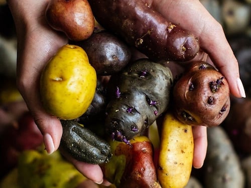 The World’s 50 Best Restaurants sbarca a Lima