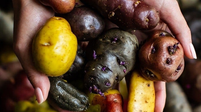 The World’s 50 Best Restaurants sbarca a Lima