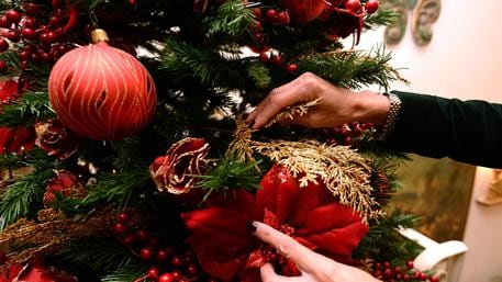 Rubato anche l'albero di Natale del condominio