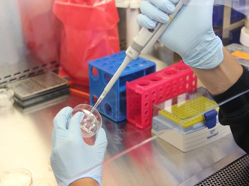 Fibrosi cistica, così i batteri sconfiggono i farmaci che la combattono