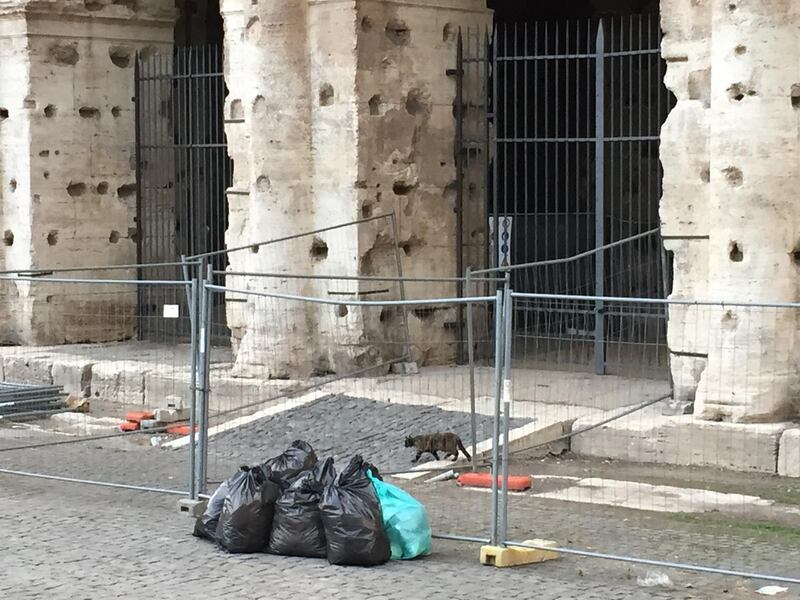 Il Colosseo della vergogna: turisti tra rifiuti ed escrementi 6