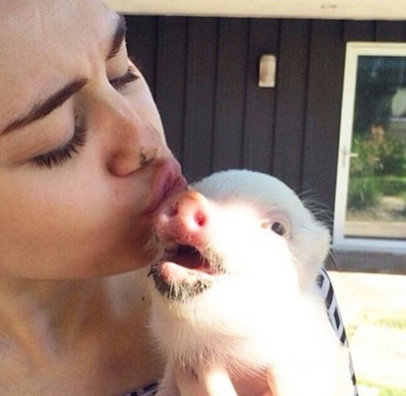 Miley Cyrus, le foto della cantante 7