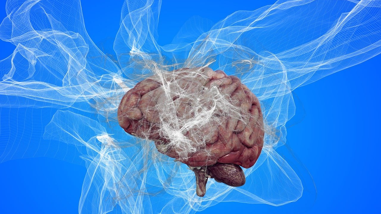 Alzheimer, perché il rischio aumenta nel Nord Europa