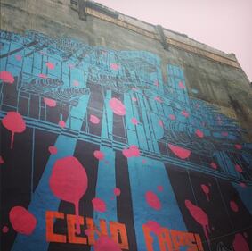 Str. Art Delhi: quando i graffiti li vuole il comune  5