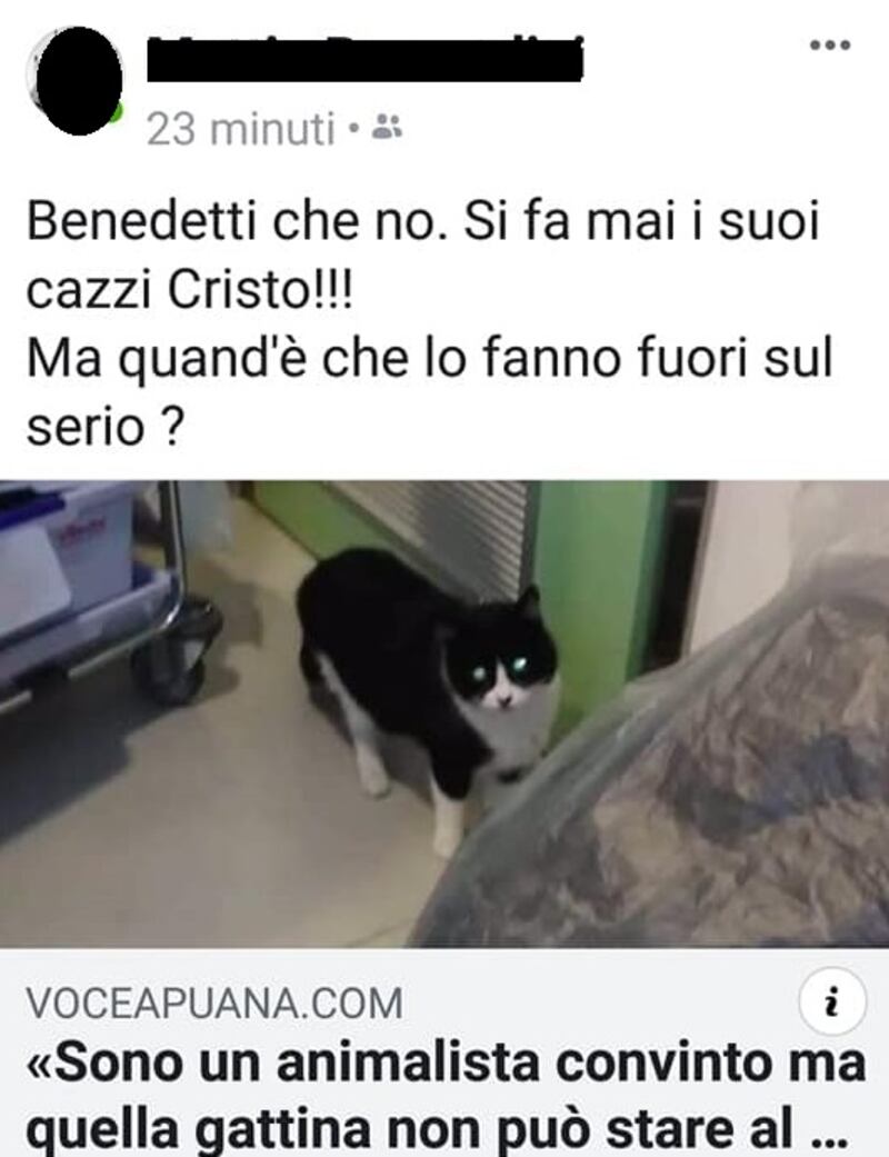 Gatto in ospedale