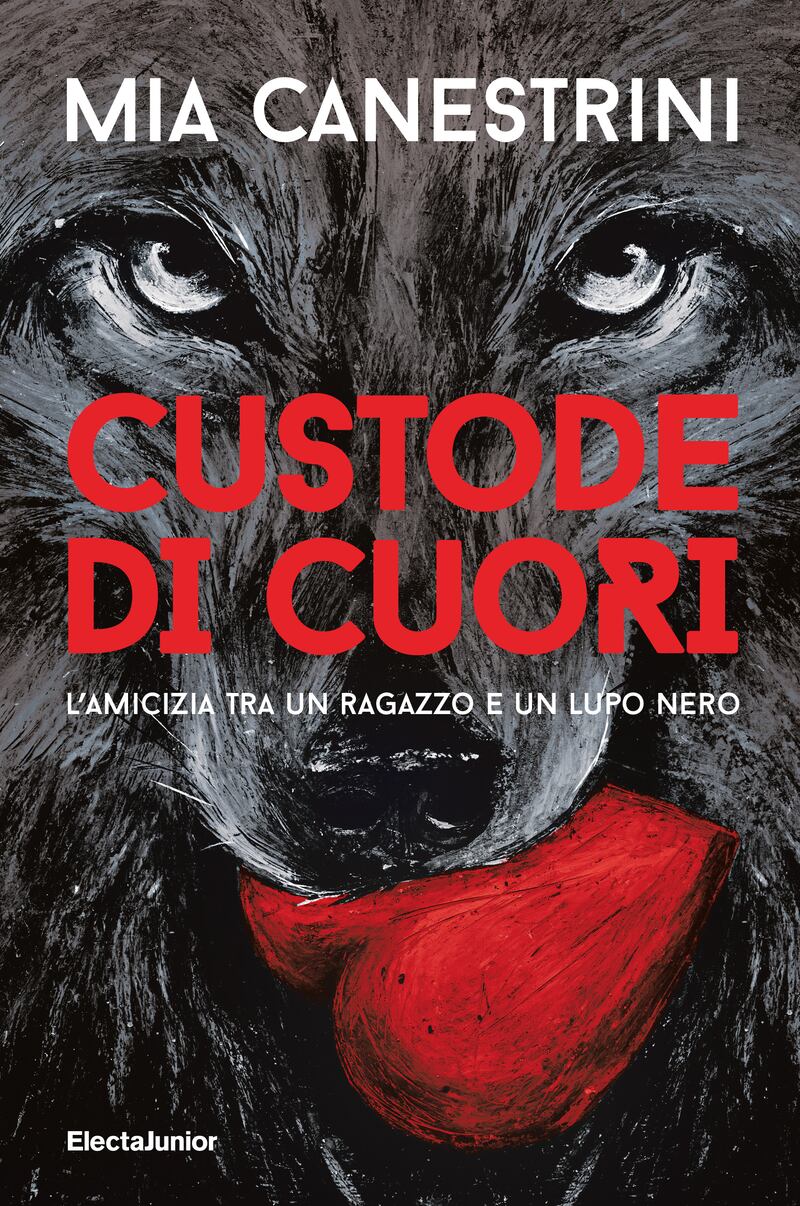 Custode di cuori -L’amicizia tra un ragazzo e un lupo nero